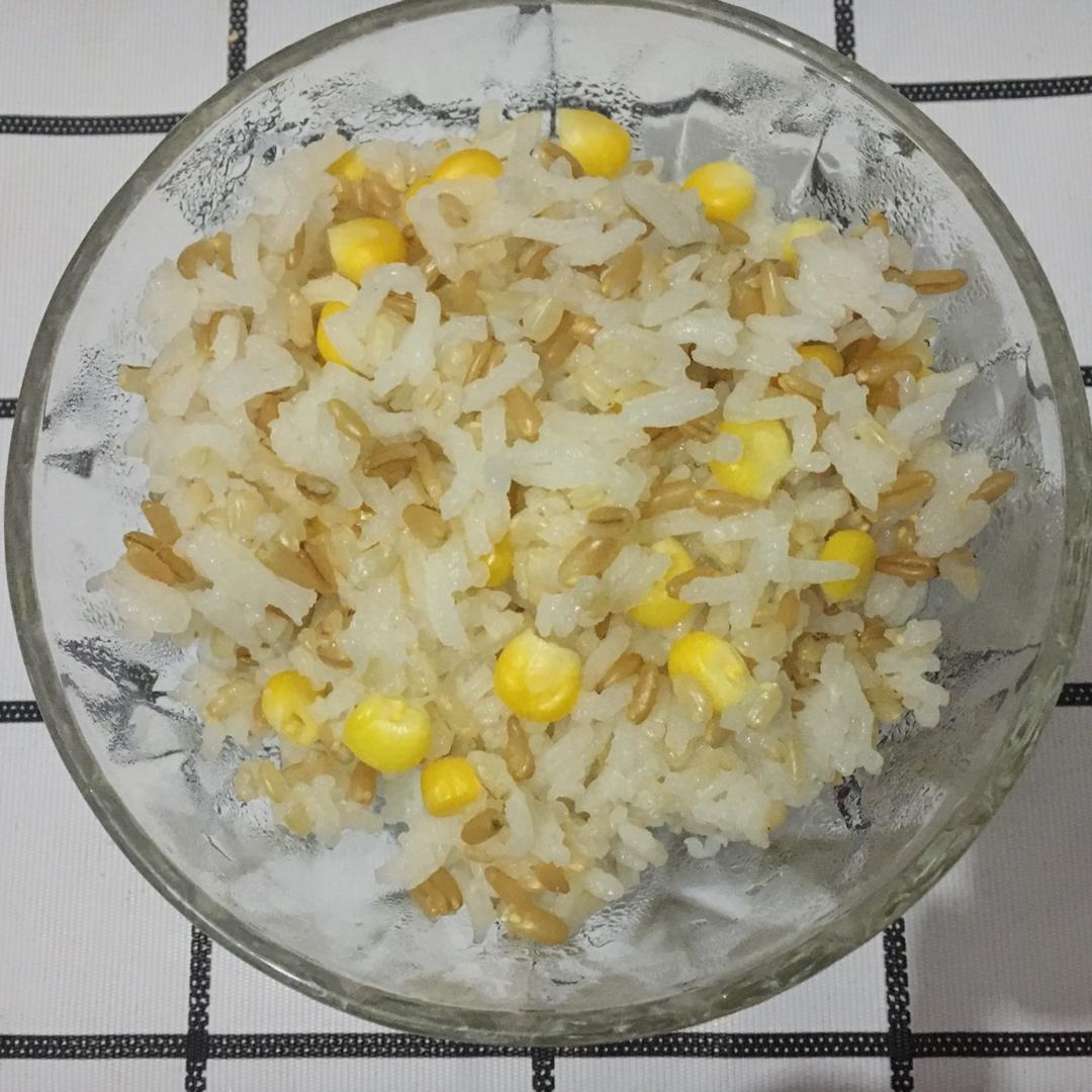 减肥主食---燕麦糙米饭