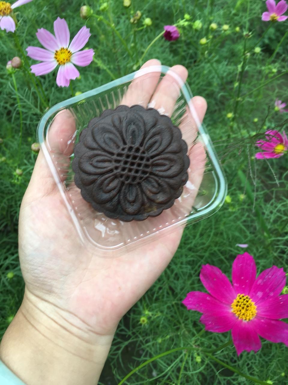 五彩广式月饼（杂粮广式）