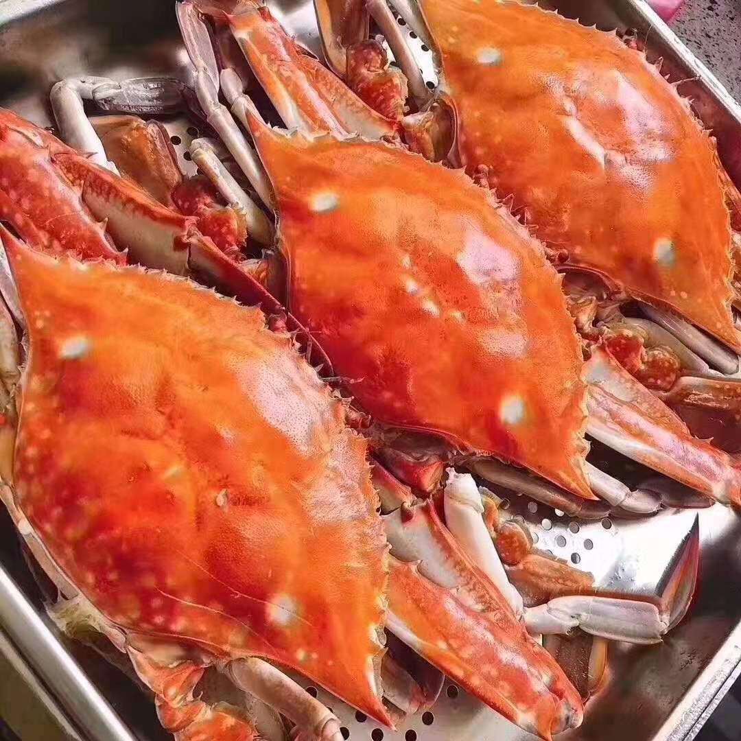 石浦老渔夫--齐大大海鲜