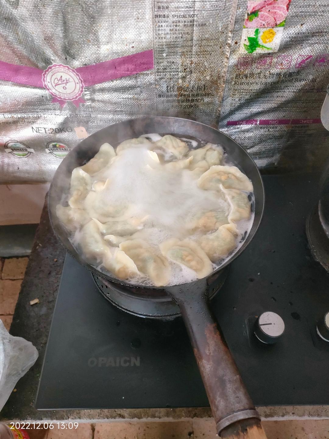 经典的韭菜鸡蛋馅儿饺子 怎么吃都不会腻