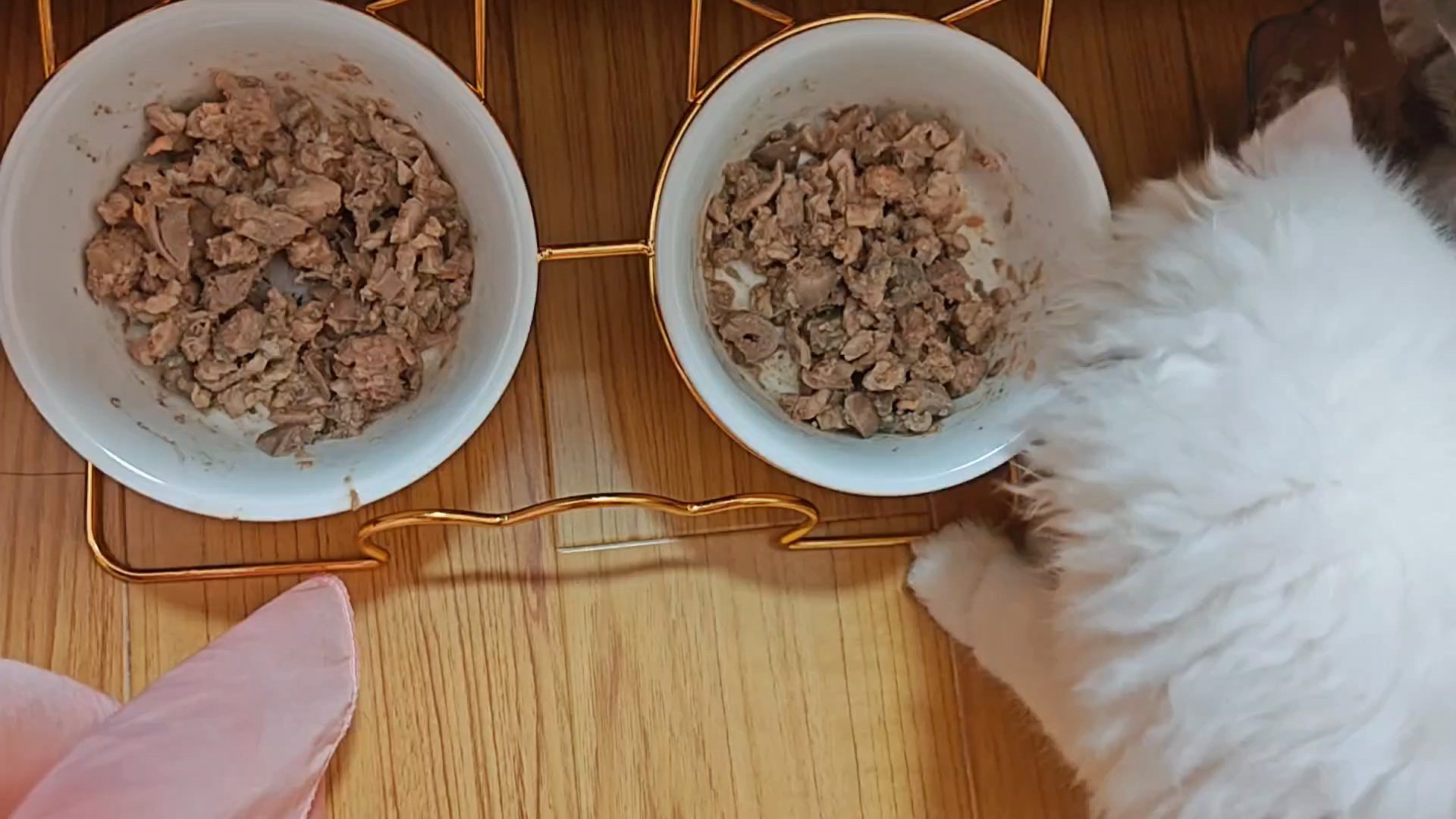 自制纯肉猫饭-猫猫吃的饭的做法 步骤11