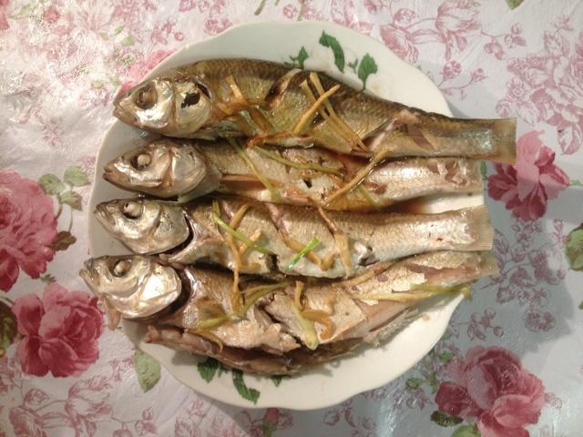 清蒸华子鱼-舌尖2菜式的做法