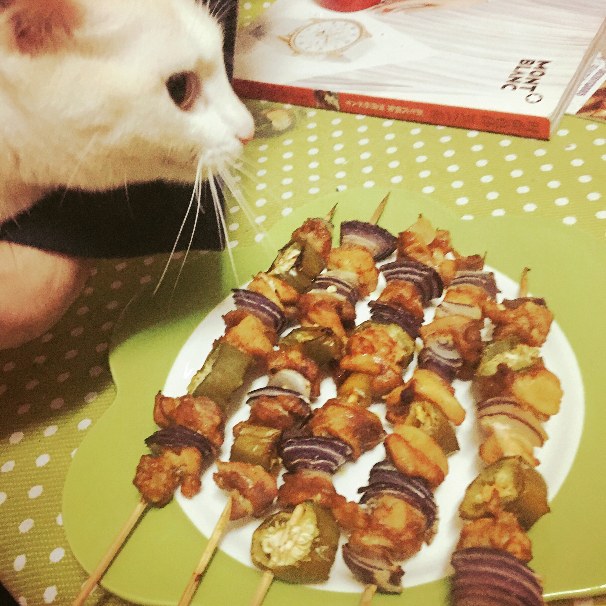 葱肉串 -- panasonic松下NU-JK100W热风蒸烤箱版