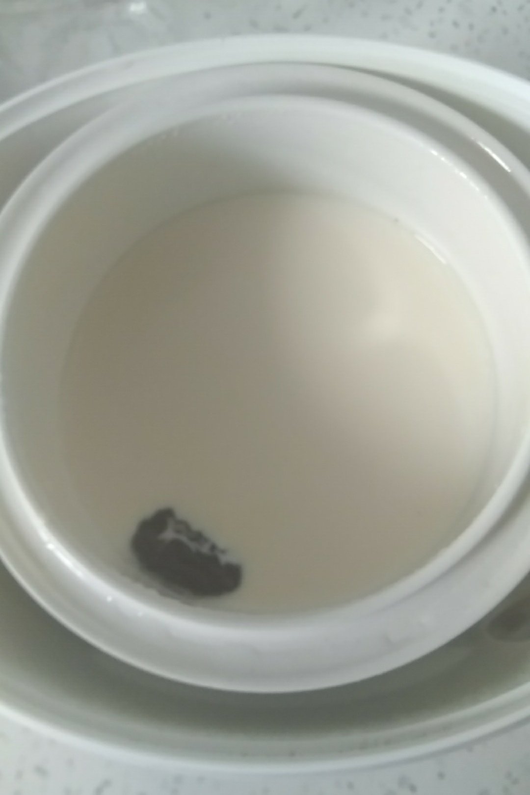鲜奶炖花胶