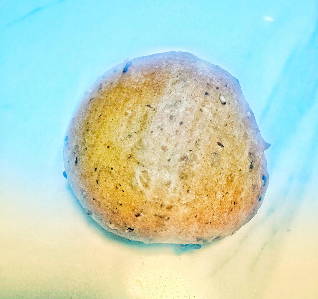 蔓越莓全麦无蛋奶小面包-小美版