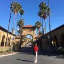 你是我的太阳529