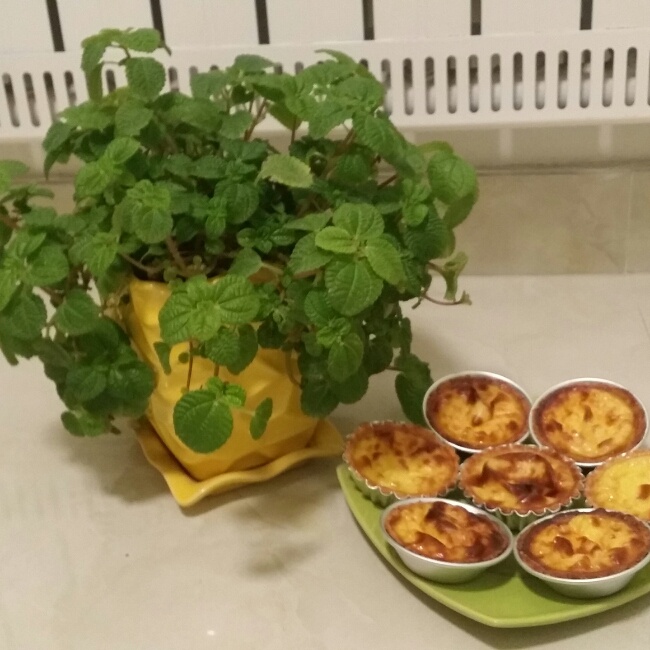 懒人版全蛋蛋挞