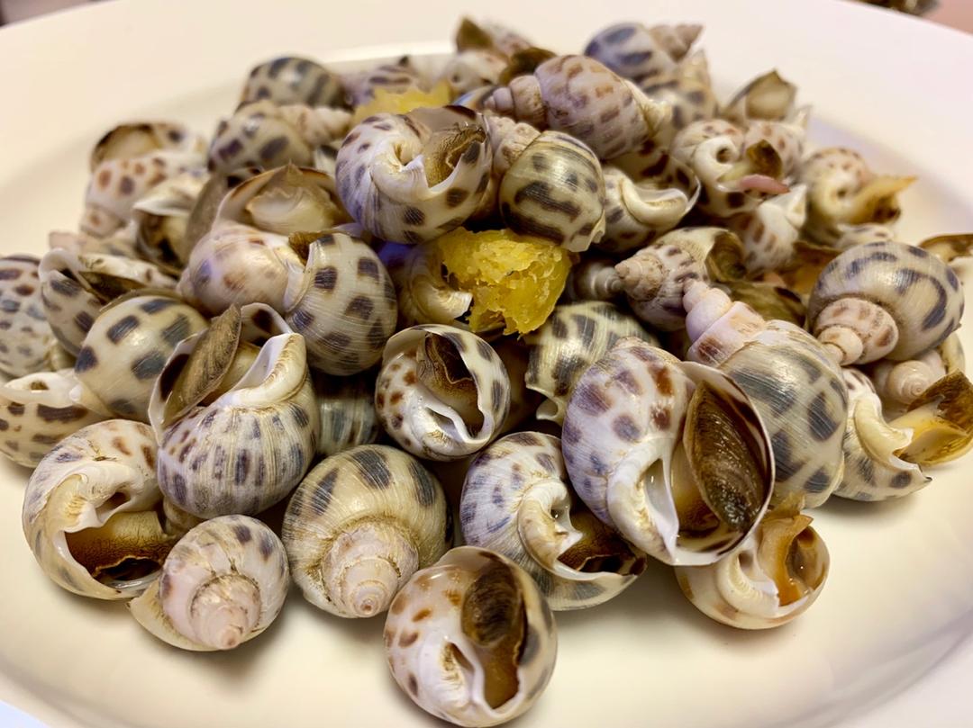 ting1做的白灼花螺