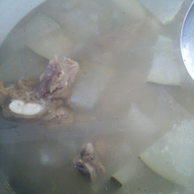 薏米排骨冬瓜汤