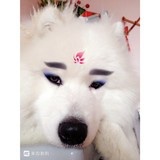 HC_雯菇凉爱美食