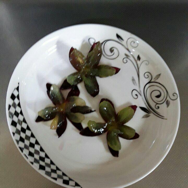 葡萄花