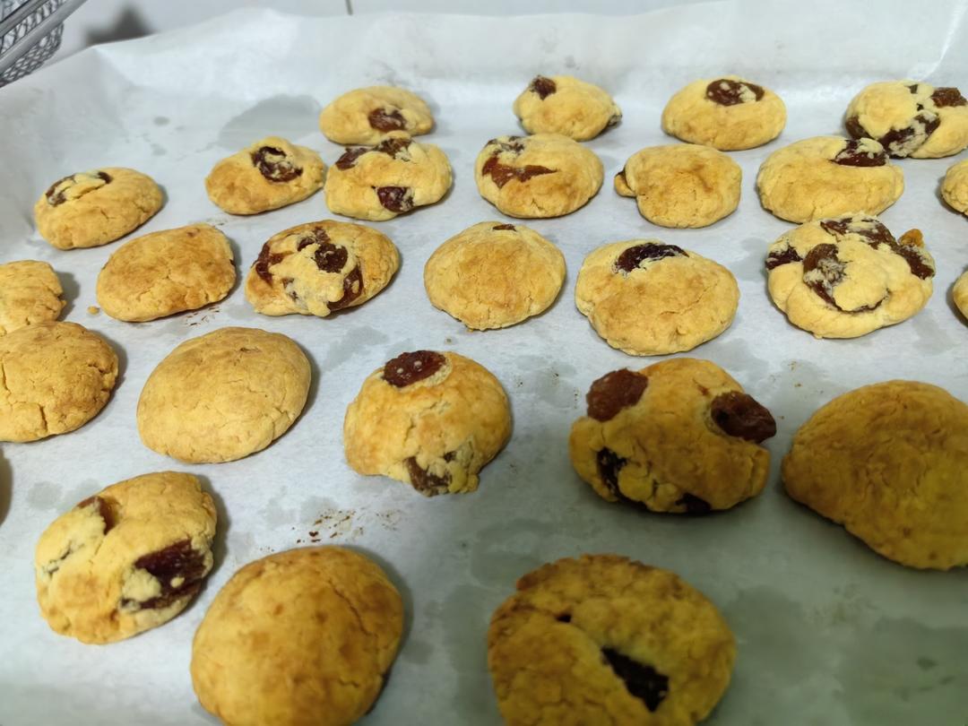 酥到掉渣❗️复刻鲍师傅同款提子奶酥🔥0失败配方