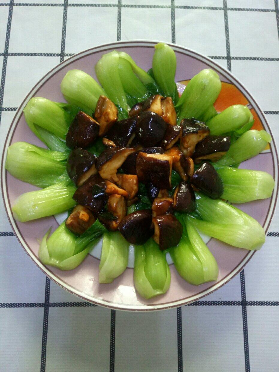 蚝油香菇小油菜