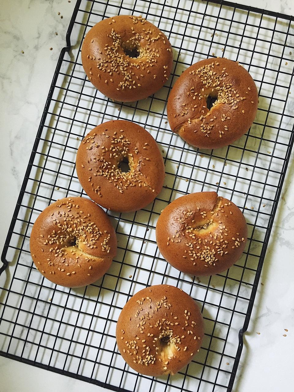 胚芽Bagel（贝果）