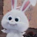 苍天美景好夜空