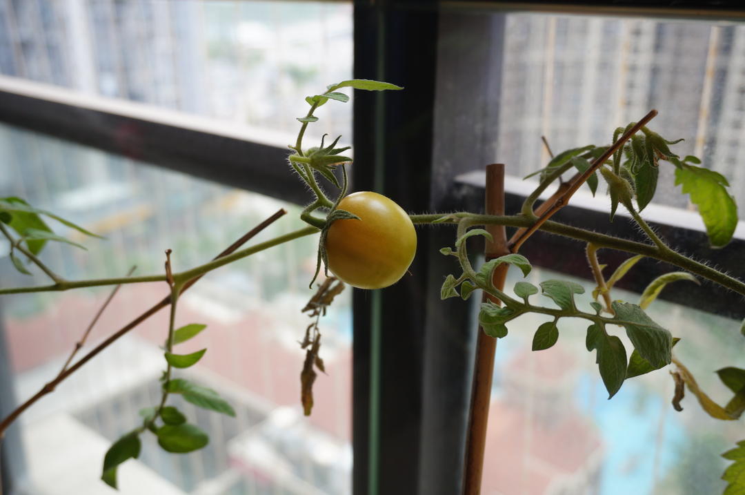杂七杂八