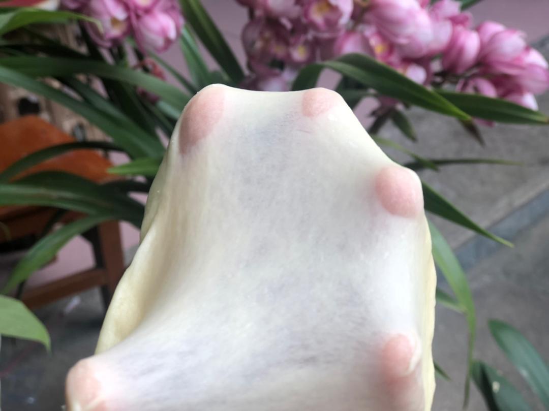 【视频｜手揉出膜】—㊗️各位早日暴富，买一个厨师机！！！
