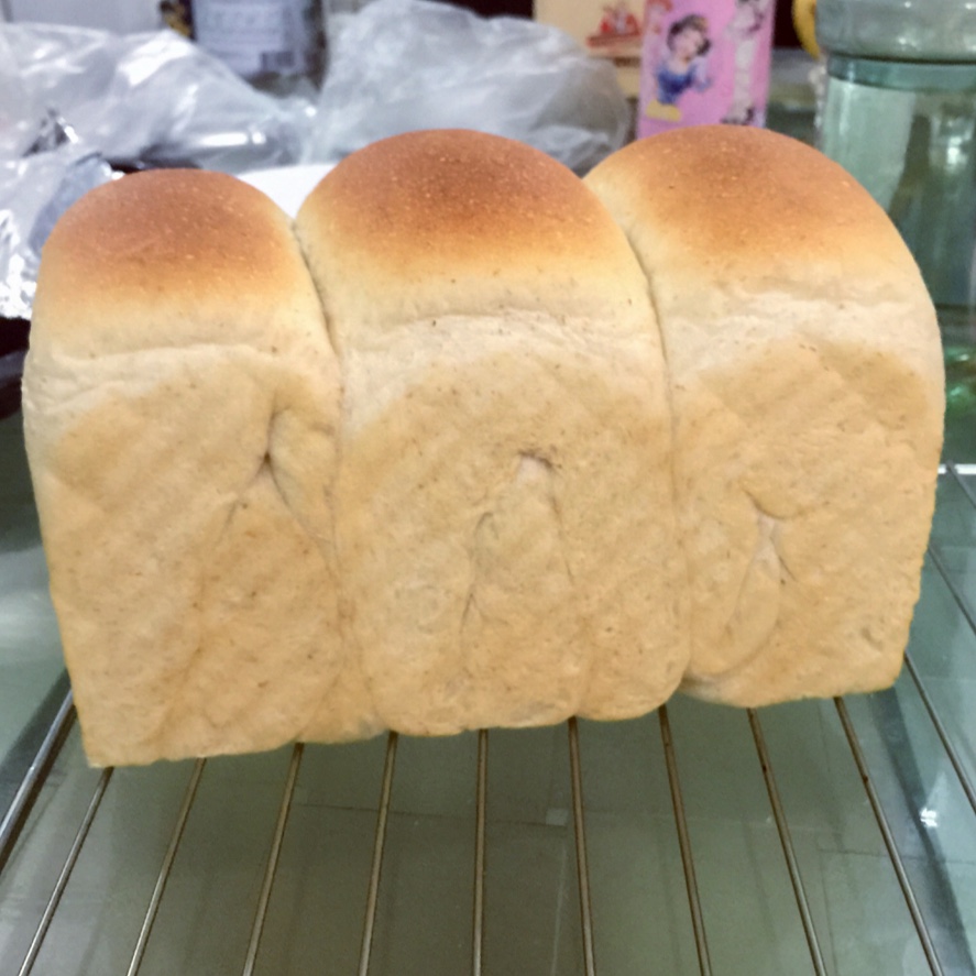 全麦吐司～17小时冷藏中种