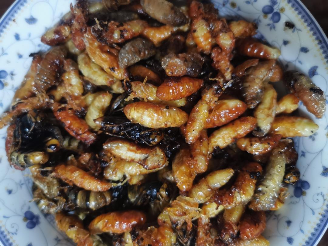油炸蜂蛹