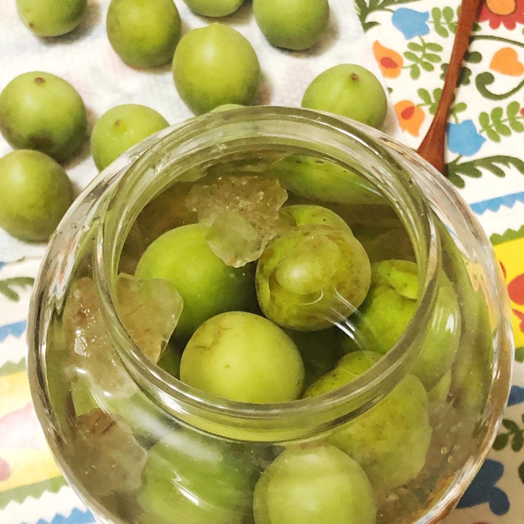 【青梅酒】梅子的沉醉时光（已填坑）