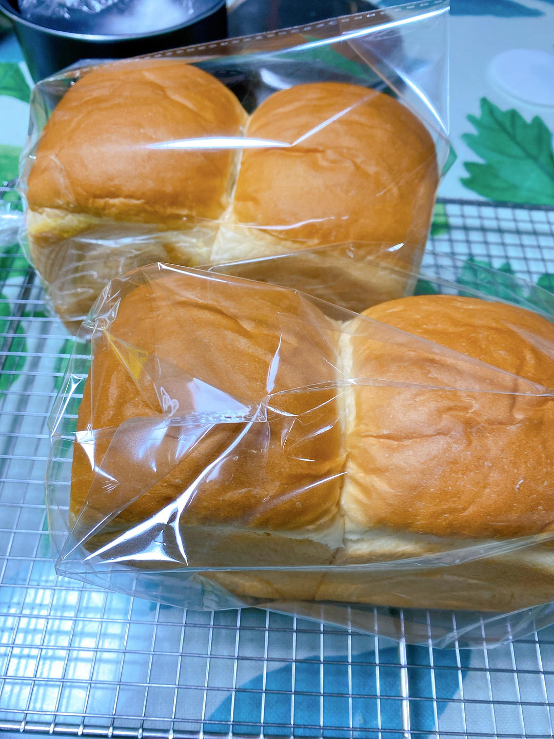 每周必做的北海道吐司520g，柔软拉丝，一次发酵（中种法）