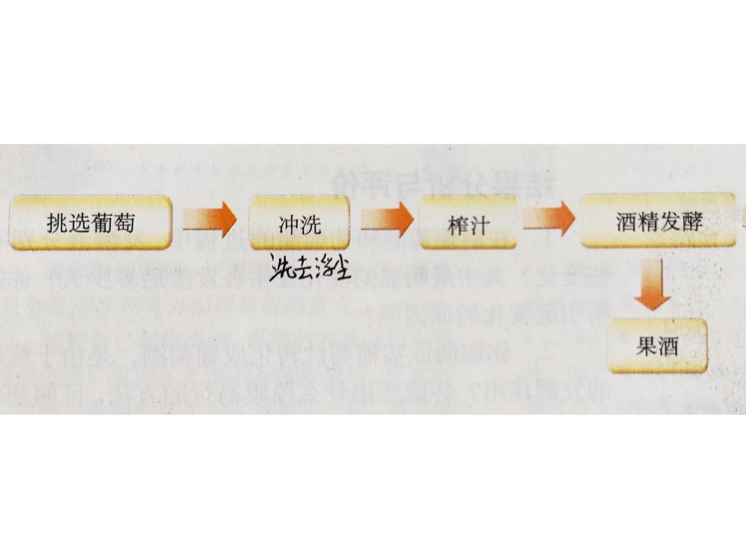 自制葡萄酒【高中生物选修一】的做法 步骤1