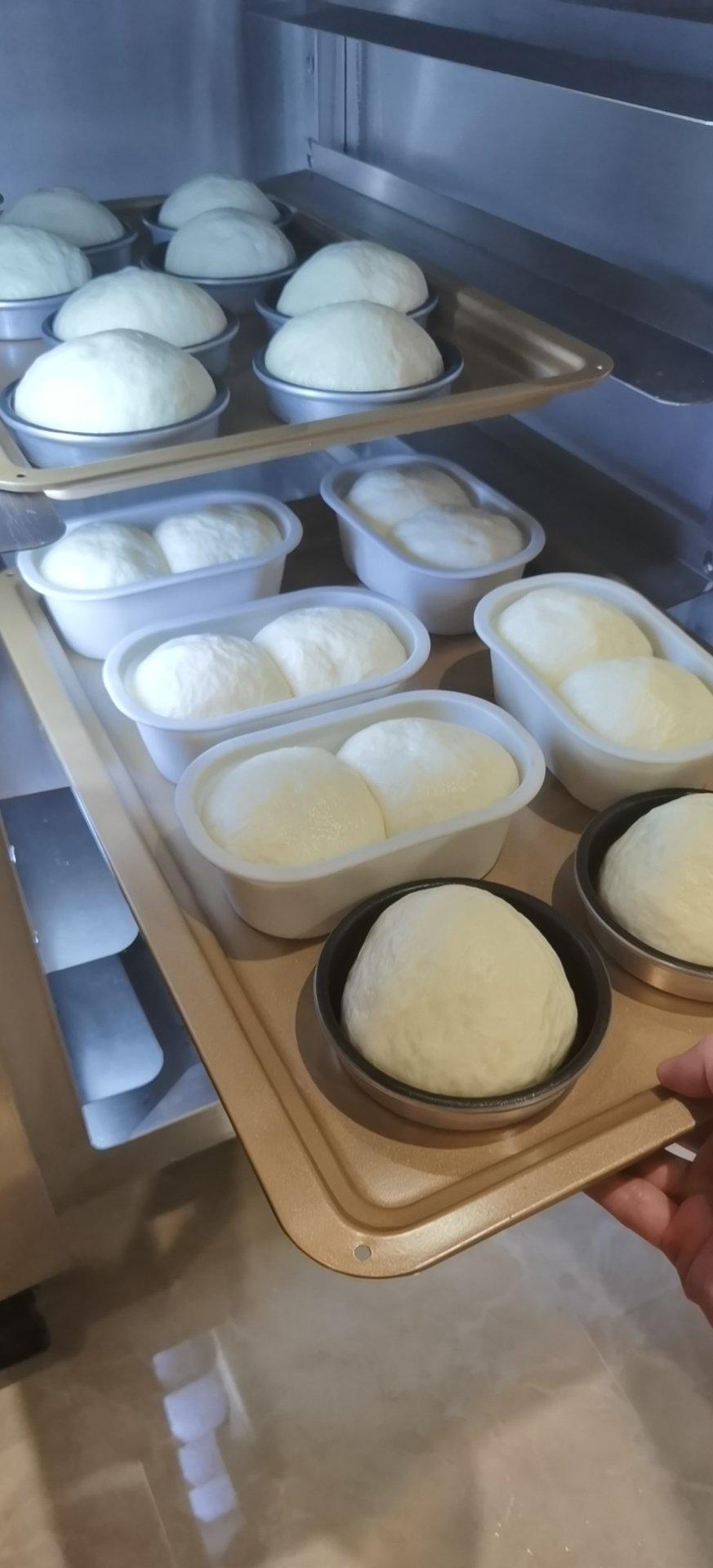 鲜奶红豆包