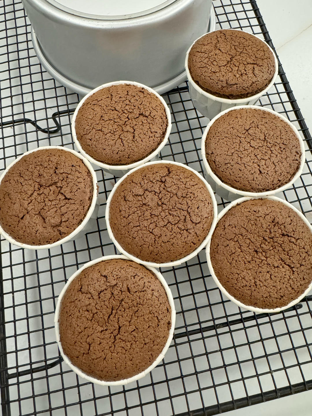 6寸可可戚风（内附8寸5蛋配方）