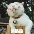 六三二八