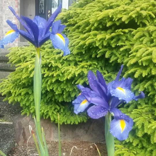 手机用户4576_uwk7