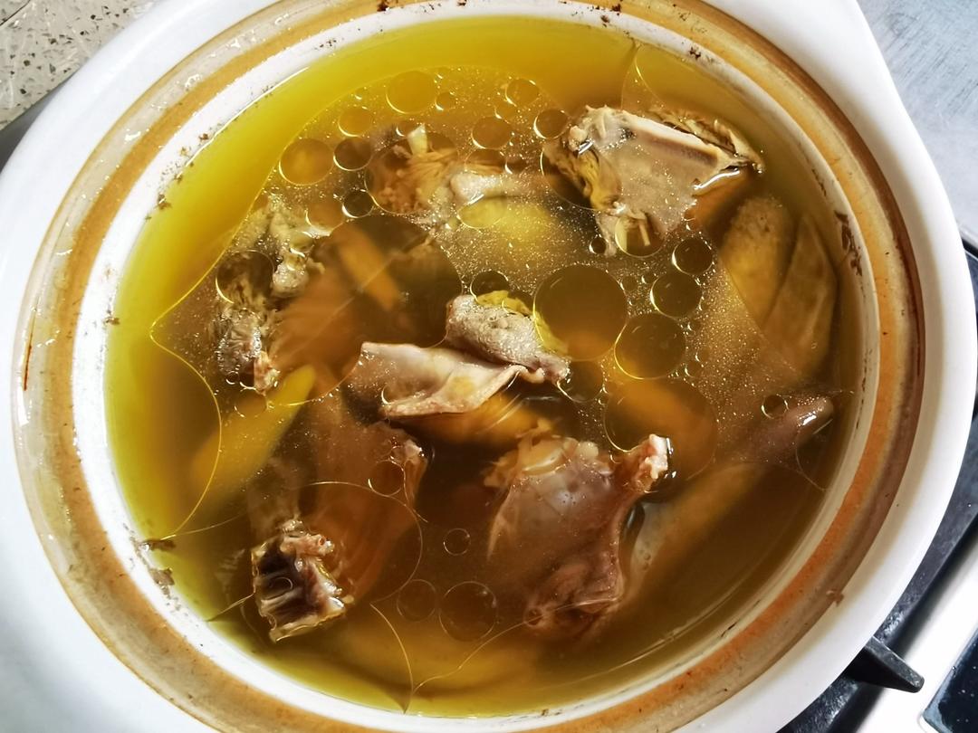 此系水做的清炖鸽子汤
