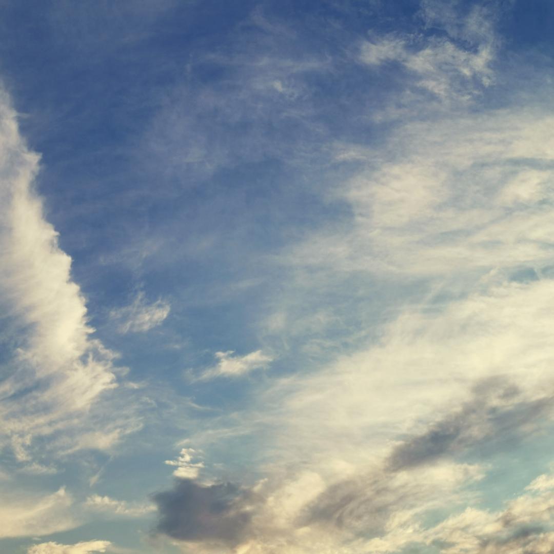 我不愿让你一个李大仁