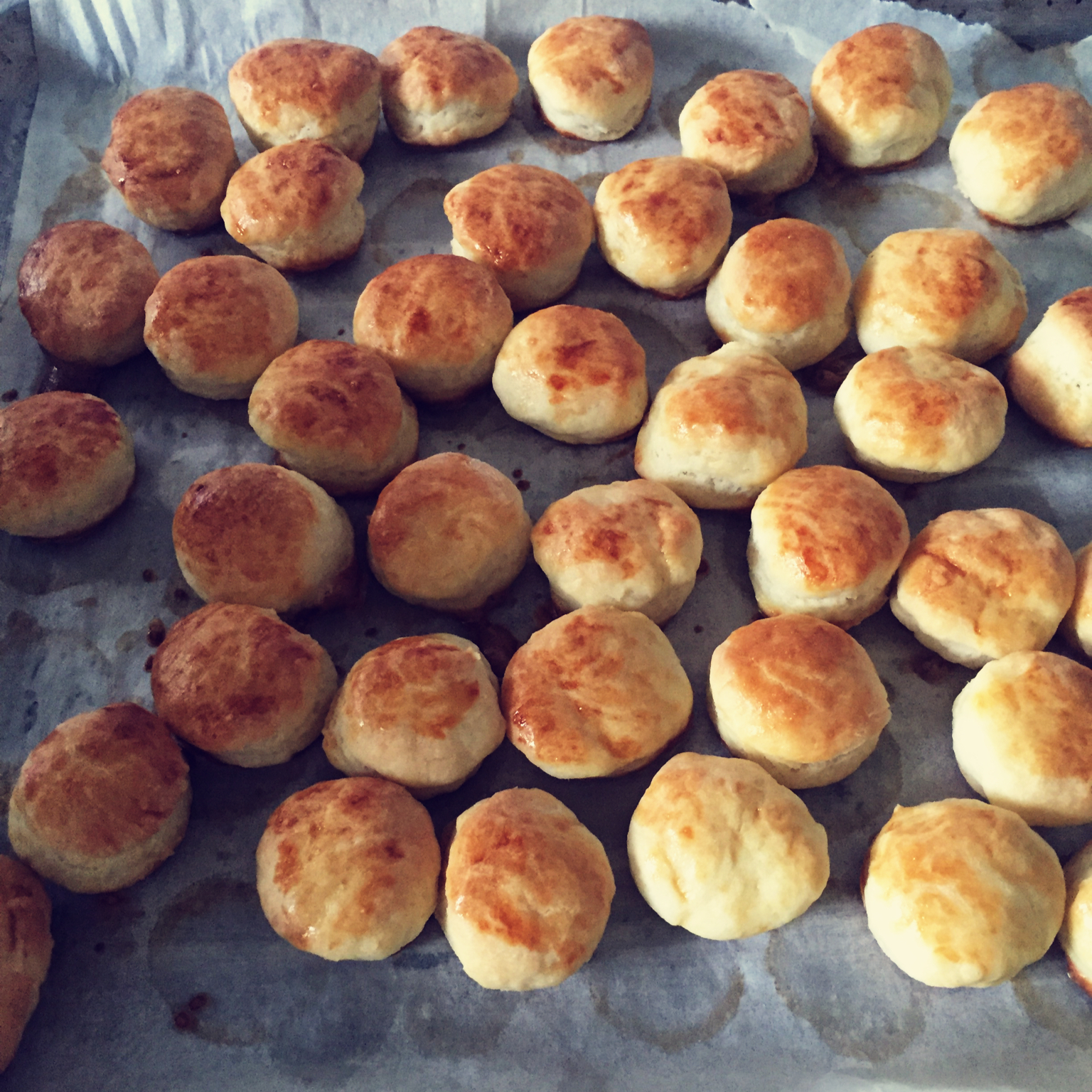 【视频】3分钟 奶油司康Scone(可能是世界上最快手的司康) 消耗淡奶油～