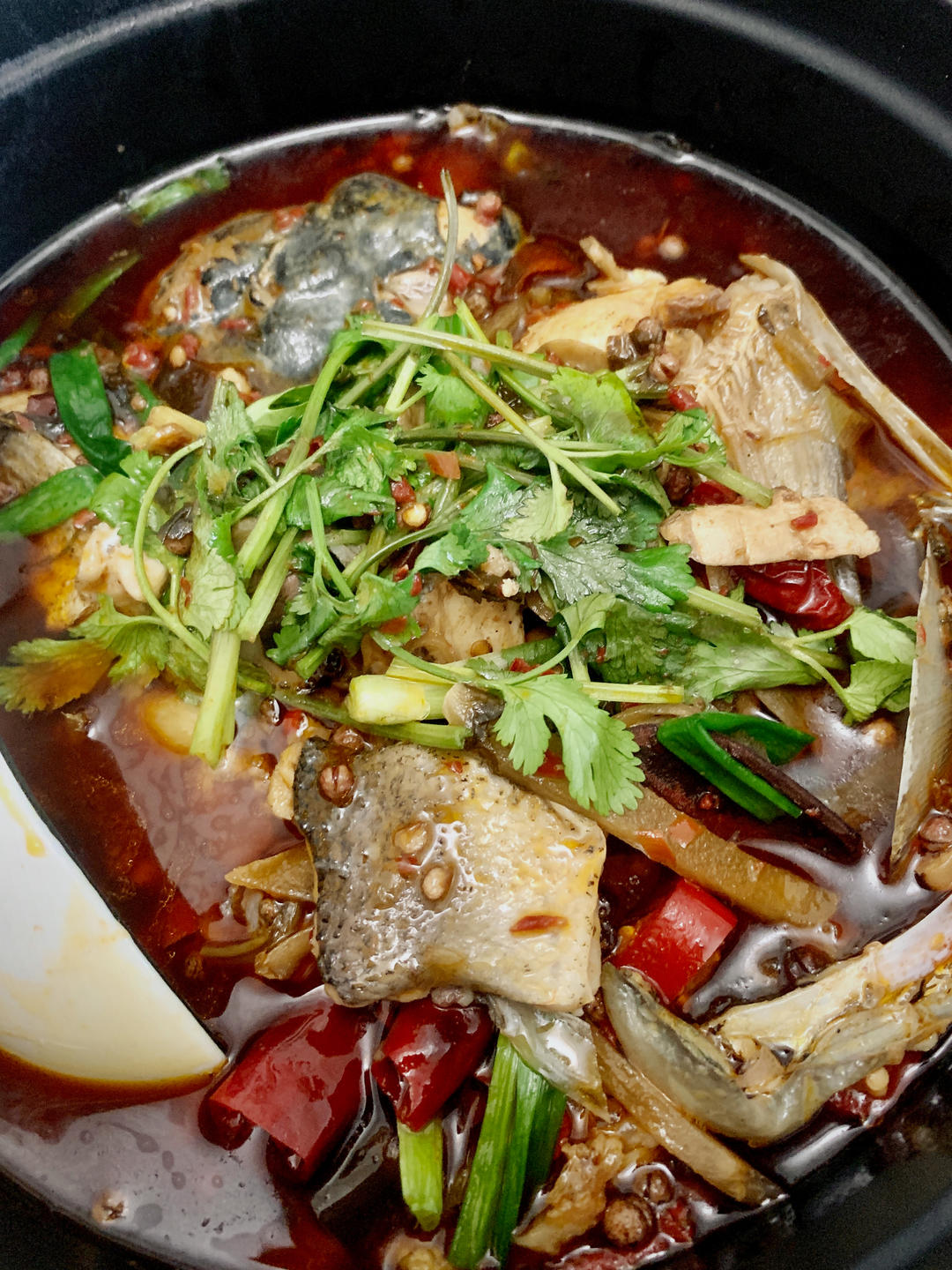 家常酸菜鱼/二黄汤鱼/火锅鱼