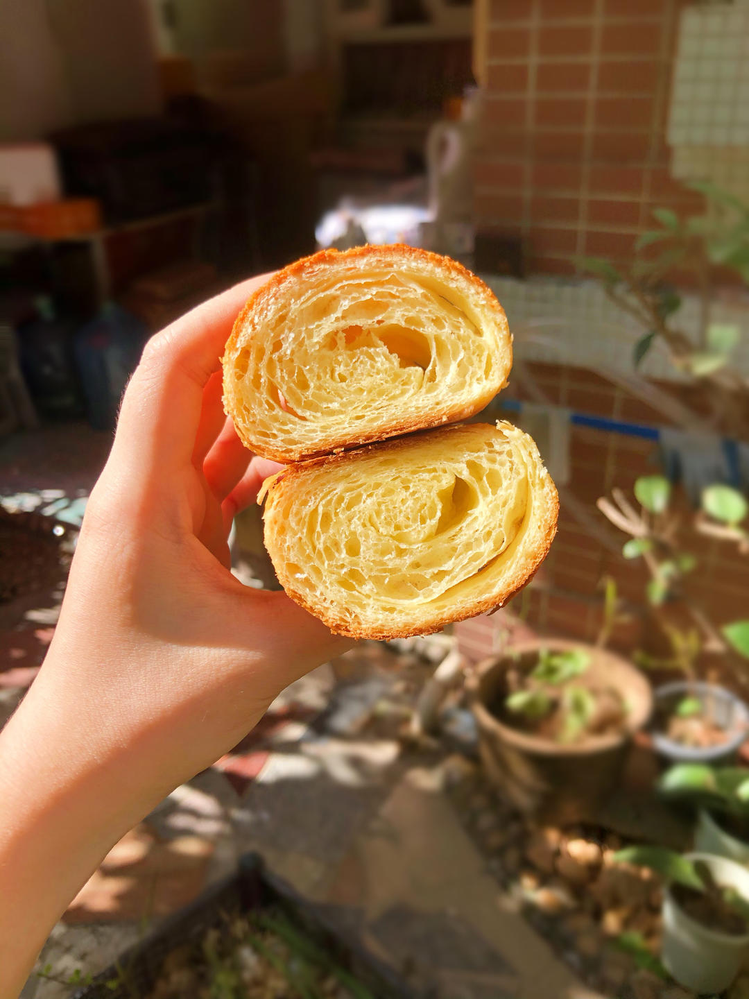 超级详细的可颂牛角包教程