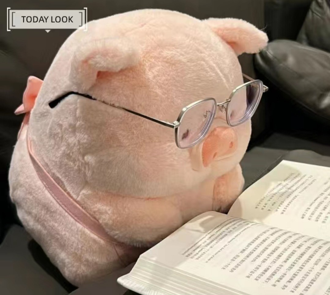 爱看书的猪猪