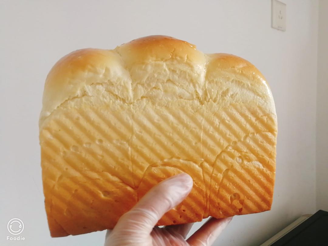 超级松软❗️一次发酵做好吃的❗️奶香手撕吐司