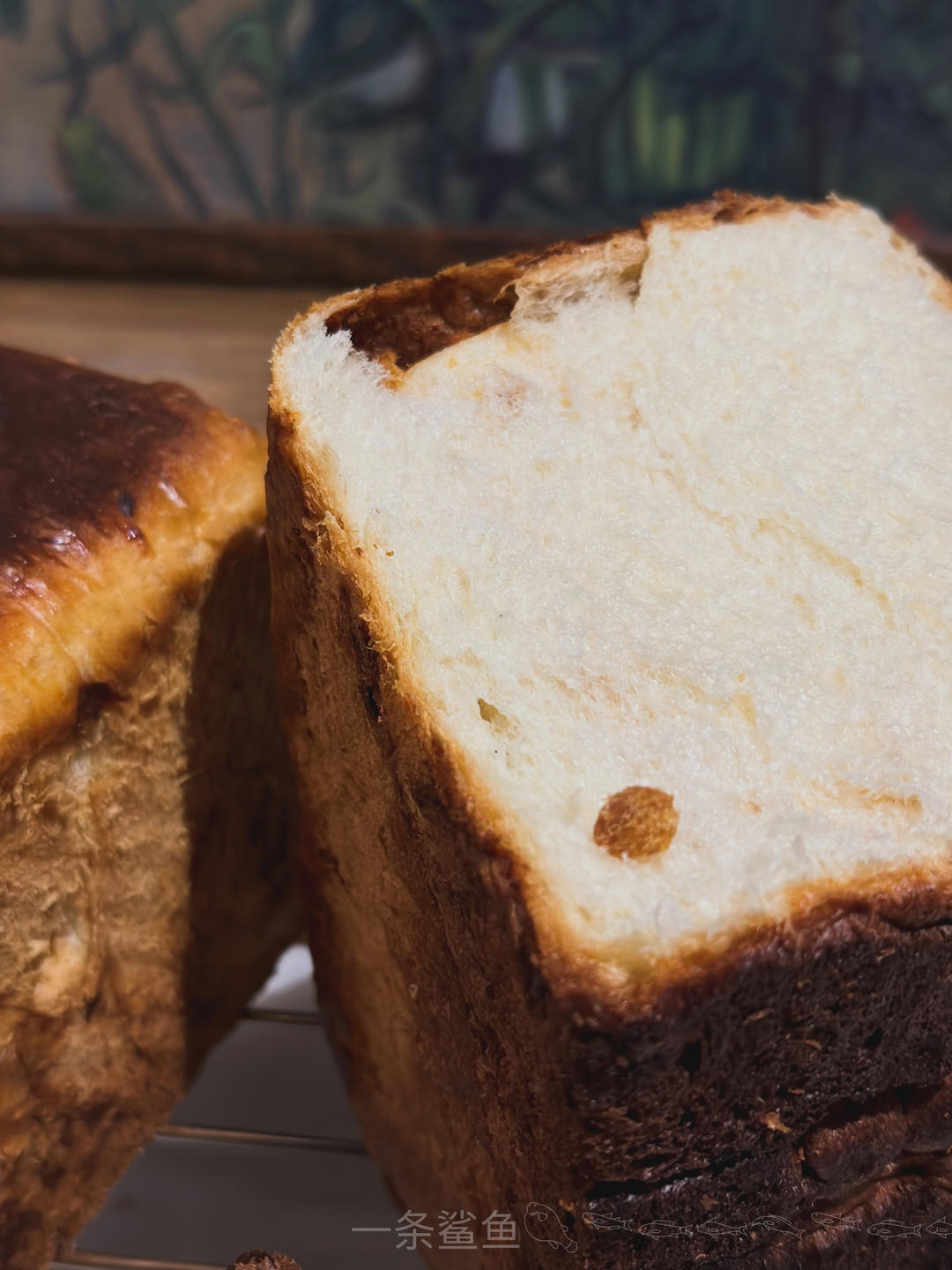 软到不知所措的牛奶卷