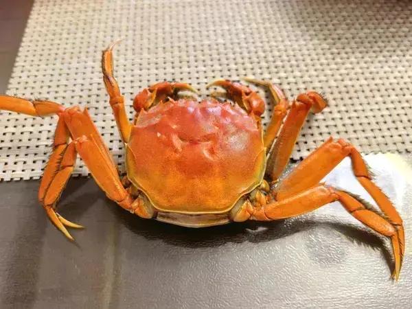 正宗盘锦河蟹做法