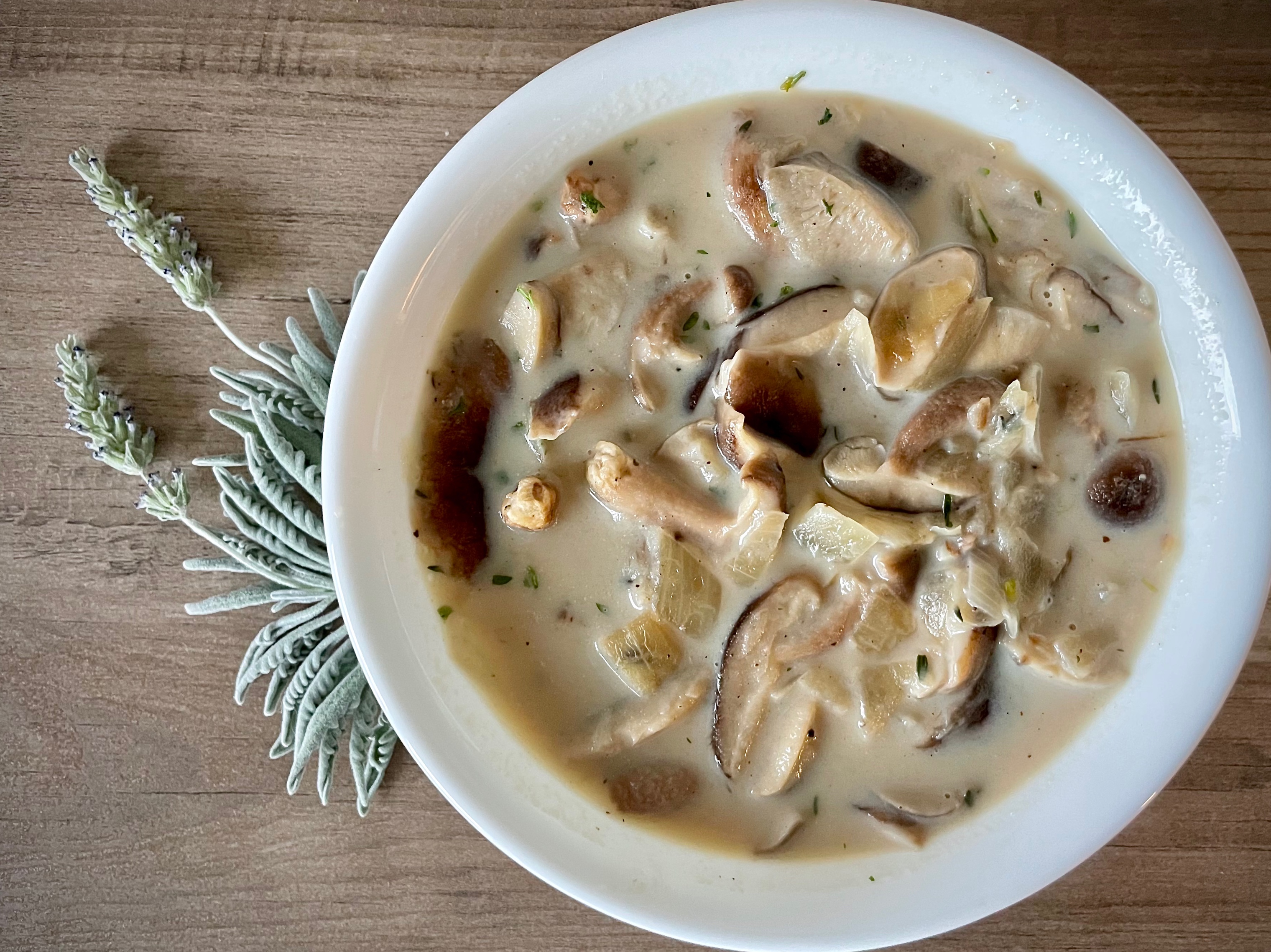 留学生活-美式奶油蘑菇汤的做法