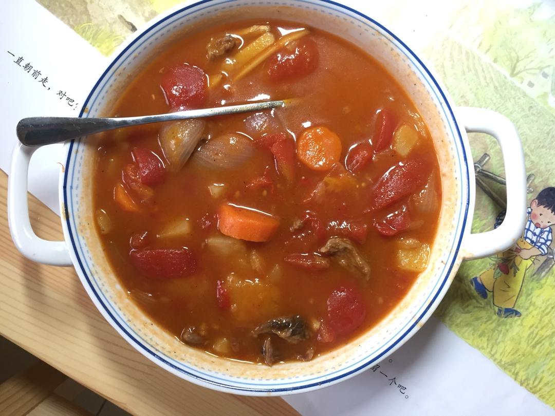 ariellion4520做的西式罗宋汤