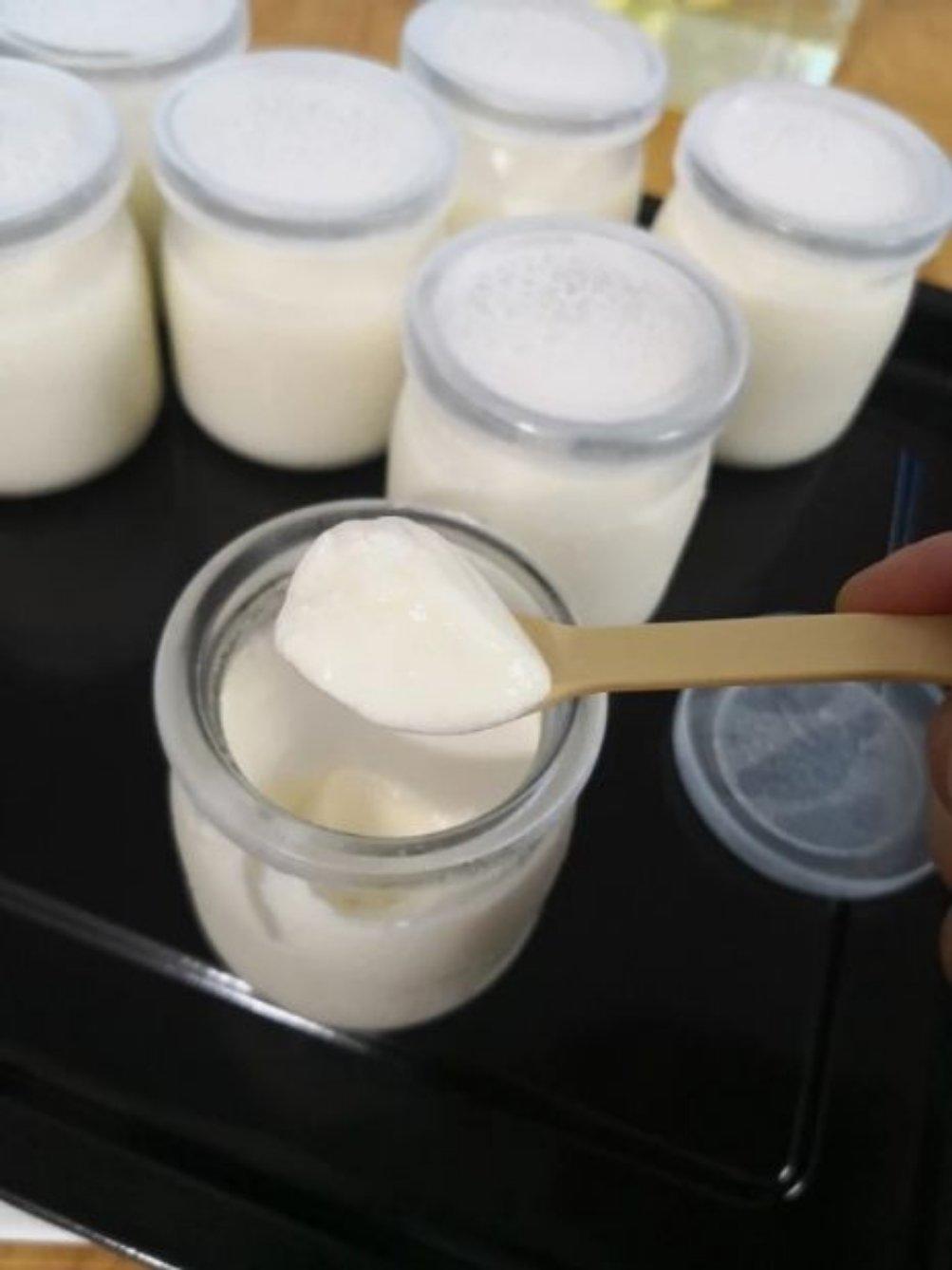 小熊酸奶机自制酸奶