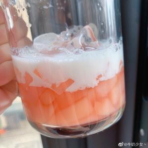 夏日清凉桃子冰饮的做法 步骤10