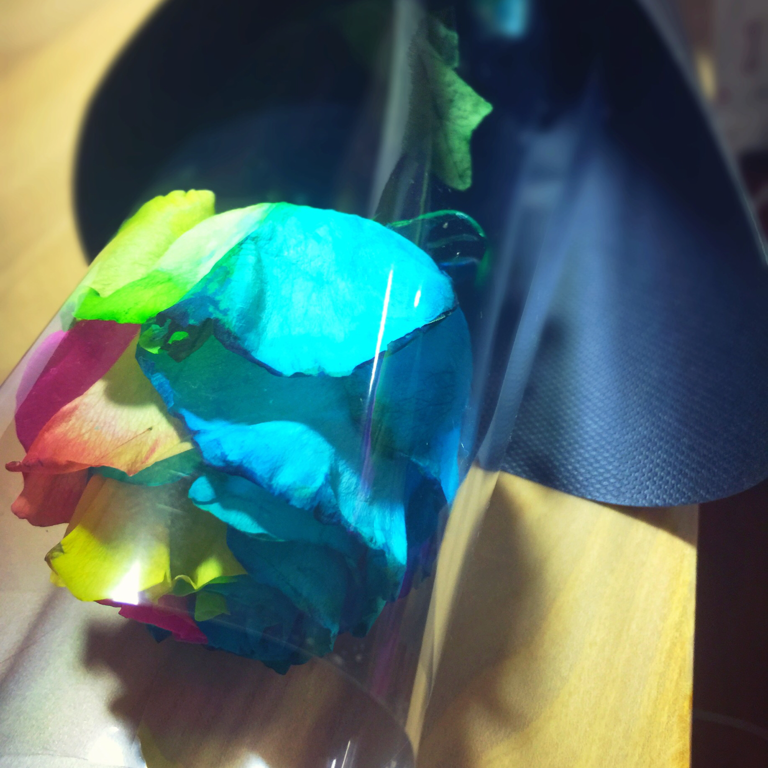 花，一辈子爱上你