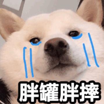 磊哥哥丫