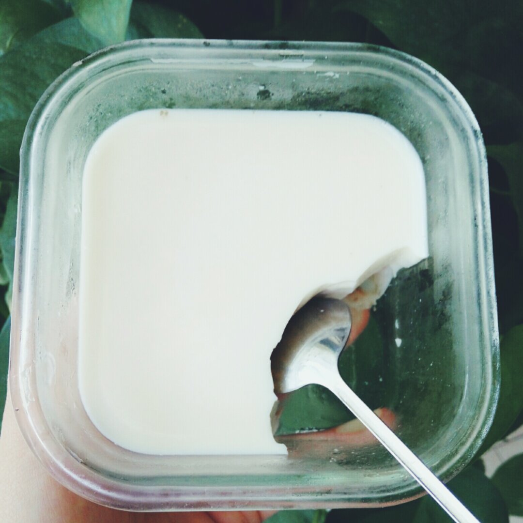 茉莉奶冻