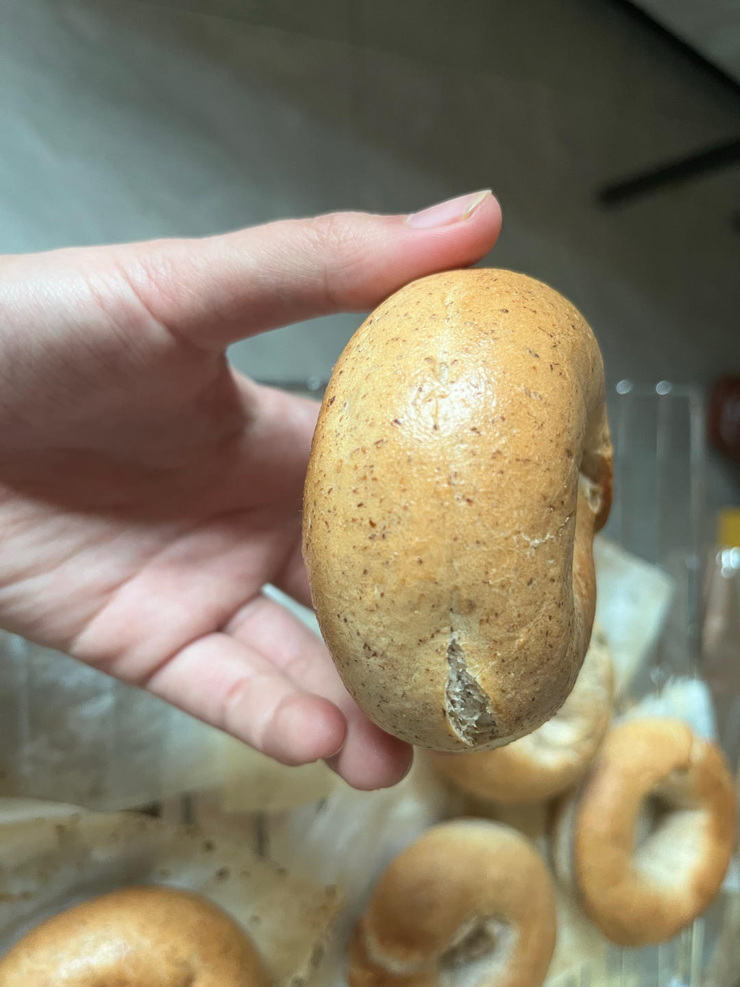 全麦贝果🥯