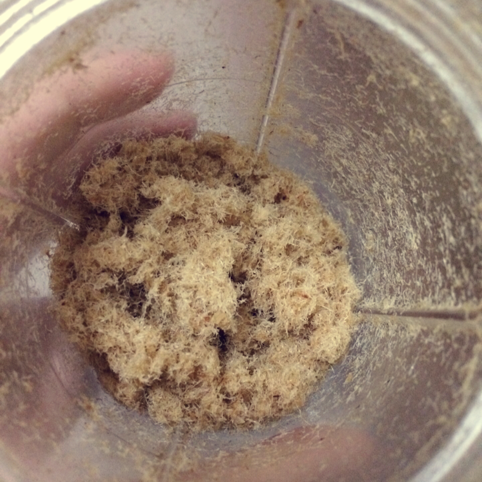 家庭自制肉松（非面包机版）