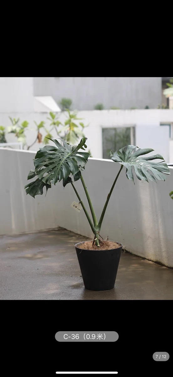 我的下厨房日记