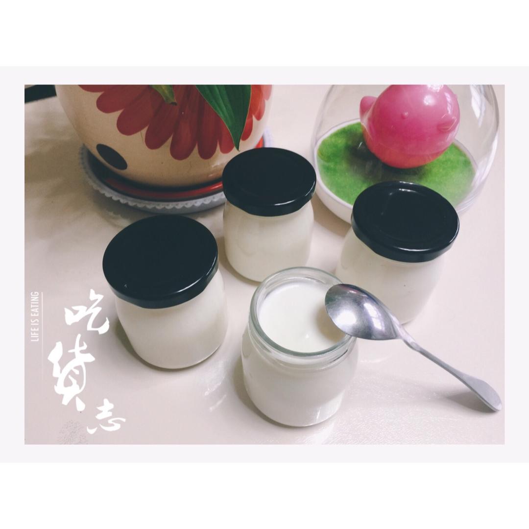 酸奶机自制酸奶